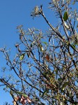 IMG_20190606_184311.jpg