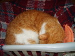 mimi... 068.jpg
