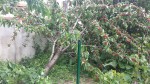 20190608_120139.jpg