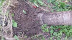 20190608_190049.jpg