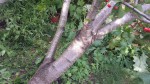 20190608_190102.jpg