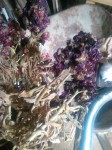 C'est quoi cet fleurs?