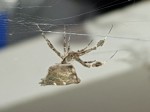 20190609_120351.jpg