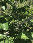 IMG_6634.gif