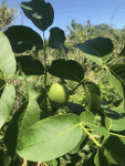IMG_6635.gif