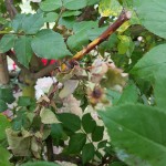 20190609_160518.jpg