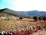 DSCF0017.JPG
