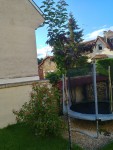 20190612_201155_HDR.jpg