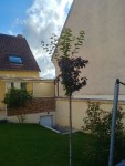 20190613_193045_HDR.jpg