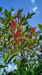 IMG_20190611_121035_651-ConvertImage.jpg