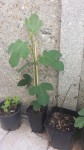 20190615_143519.jpg