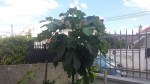 20190615_143803.jpg