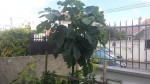 20190615_143801.jpg