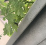 5C706C1C-1C53-4100-A112-D34C623AF3D8.jpeg