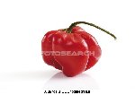 piment.jpg