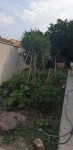 20190621_175947.jpg