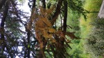 IMG_20190622_173620-ConvertImage-min.jpg