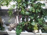 IMG_20190623_135851.jpg