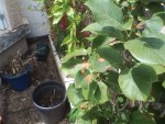 IMG_20190623_135835.jpg