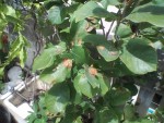 IMG_20190623_135826.jpg