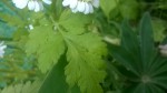 WP_20190625_004.jpg