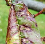 IMG_20190624_150516~4.jpg