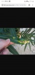 Screenshot_20190628-221846.jpg
