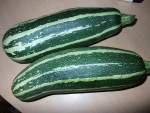 Courgettes Italie.JPG