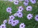 IMG_4692.jpeg