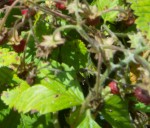 IMG_20190630_124910.jpg