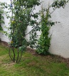 IMG_20190702_114639.jpg