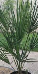 IMG_20190703_121622.jpg