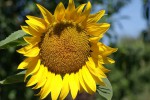 DSC02076.jpg