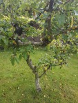 IMG_20190612_084914.jpg
