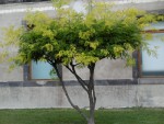 P1010193.JPG