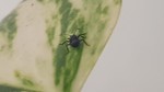 20190710_131754.jpg