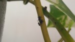 20190710_131727.jpg