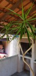 20190710_133619.jpg