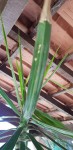 20190710_133634.jpg