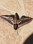 20190716_101921.jpg