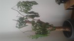 20190718_092330.jpg