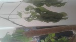 20190718_092347.jpg