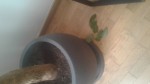 20190718_092338.jpg