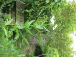 IMG_4706.jpeg