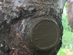 IMG_0020.JPG