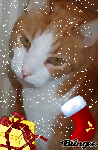 355484979_1394870.gif