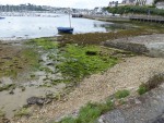 Camaret.jpg