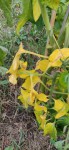 IMG_20190723_205650.jpg