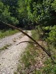 SAOU mystere_20190628.jpg