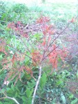 rps20190728_170338.jpg